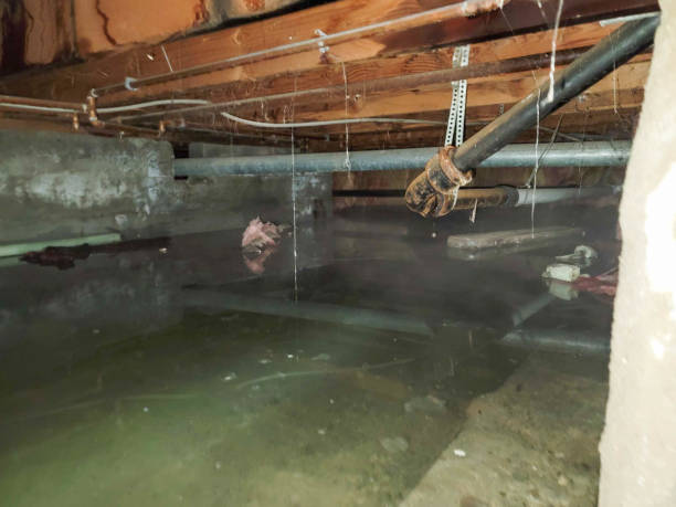 Best Water damage restoration company  in Bridgeville, PA