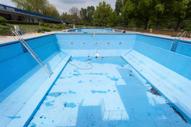 Best Water damage contractors near me  in Bridgeville, PA