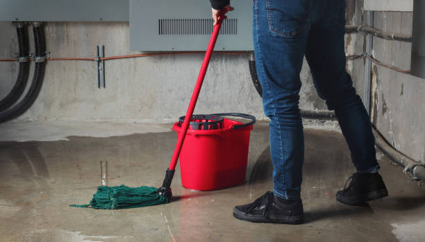 Best Mold removal after water damage  in Bridgeville, PA