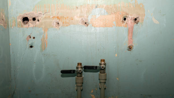 Best Residential water damage restoration  in Bridgeville, PA