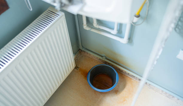 Best Carpet water damage restoration  in Bridgeville, PA